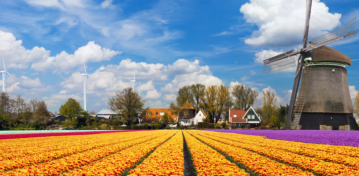 Holanda oferece bolsas de estudo de até 32.500 euros para 